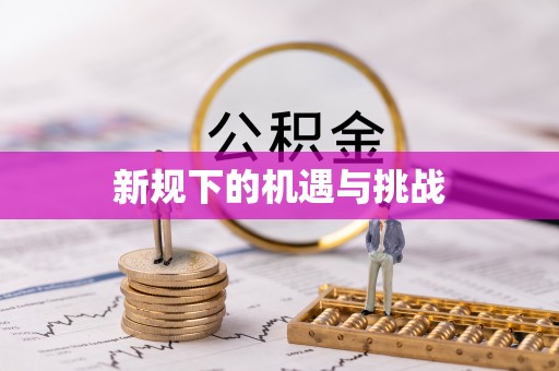 永新新规下的机遇与挑战
