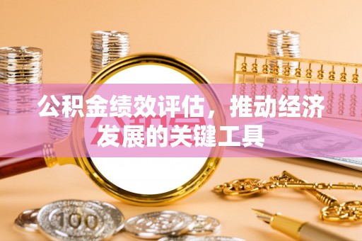 永新公积金绩效评估，推动经济发展的关键工具