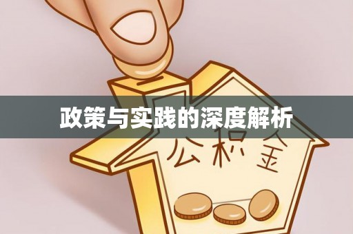 永新政策与实践的深度解析