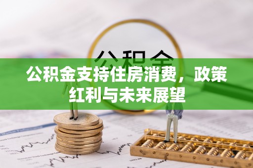 永新公积金支持住房消费，政策红利与未来展望