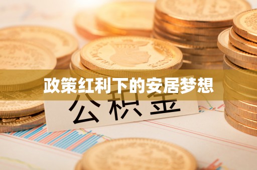 永新政策红利下的安居梦想