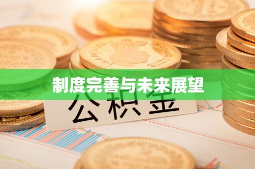 永新制度完善与未来展望