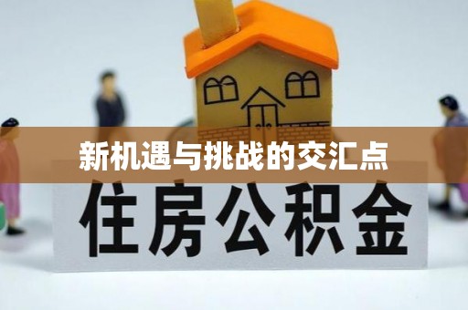 永新新机遇与挑战的交汇点