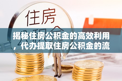 永新揭秘住房公积金的高效利用，代办提取住房公积金的流程与技巧