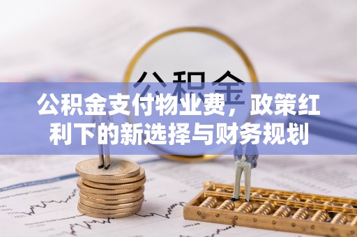 永新公积金支付物业费，政策红利下的新选择与财务规划