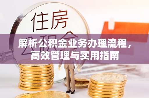 永新解析公积金业务办理流程，高效管理与实用指南