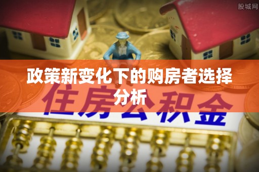 永新政策新变化下的购房者选择分析