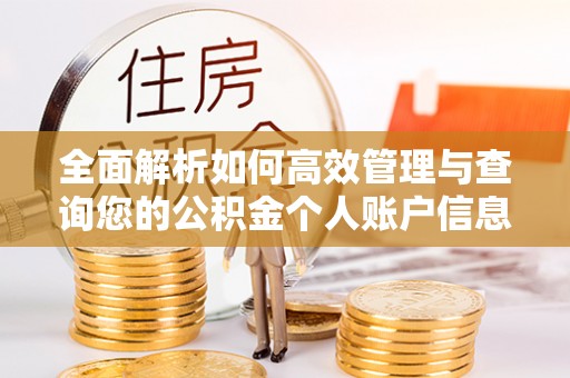 永新全面解析如何高效管理与查询您的公积金个人账户信息