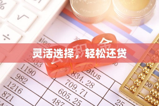 永新灵活选择，轻松还贷