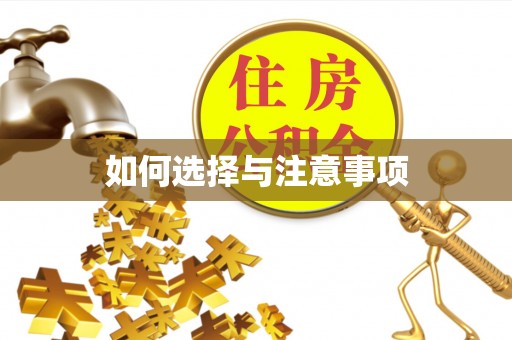 永新如何选择与注意事项
