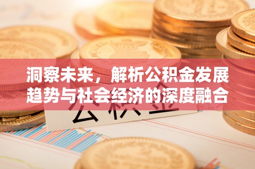 永新洞察未来，解析公积金发展趋势与社会经济的深度融合