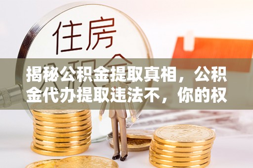 永新揭秘公积金提取真相，公积金代办提取违法不，你的权益如何保障？