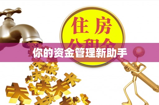 永新你的资金管理新助手