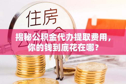 永新揭秘公积金代办提取费用，你的钱到底花在哪？