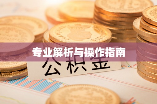 永新专业解析与操作指南