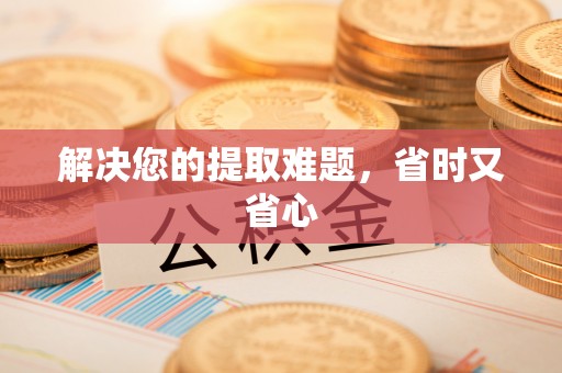 永新解决您的提取难题，省时又省心