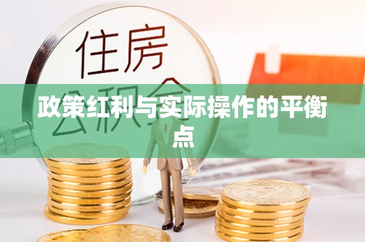 永新政策红利与实际操作的平衡点