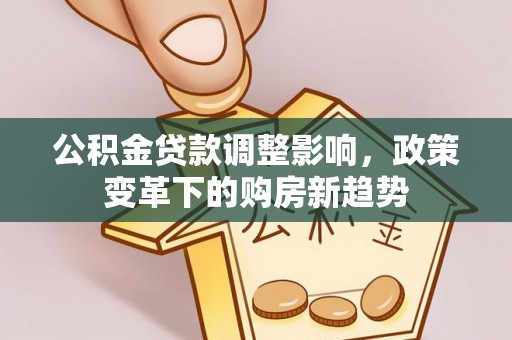 永新公积金贷款调整影响，政策变革下的购房新趋势