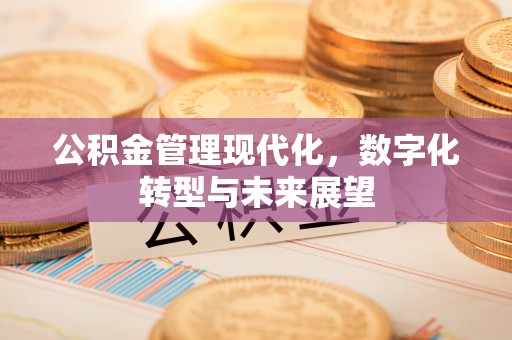 永新公积金管理现代化，数字化转型与未来展望