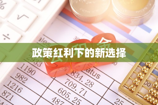 永新政策红利下的新选择