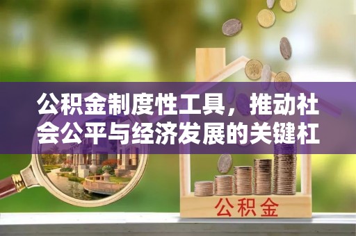 永新公积金制度性工具，推动社会公平与经济发展的关键杠杆
