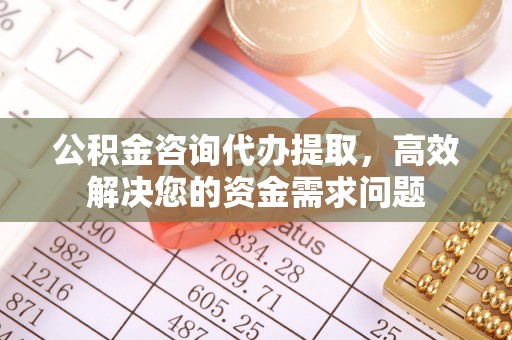 永新公积金咨询代办提取，高效解决您的资金需求问题