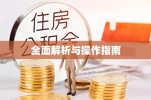 永新全面解析与操作指南