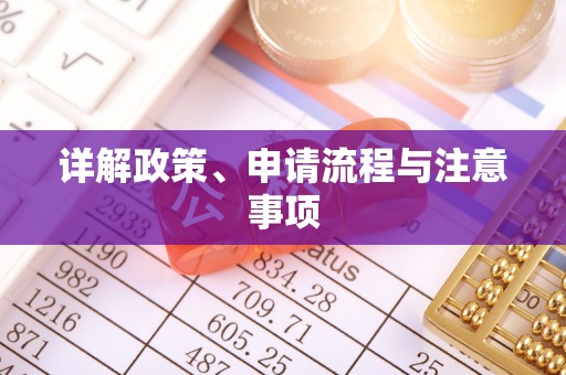 永新详解政策、申请流程与注意事项