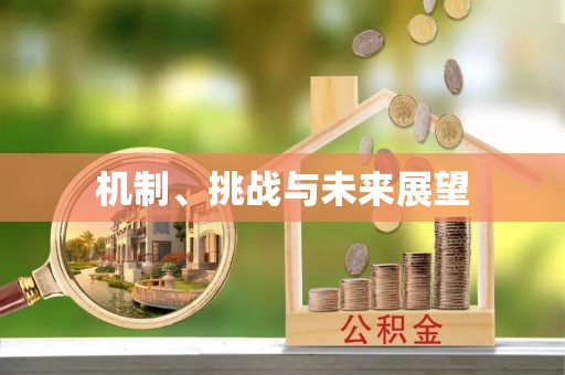 永新机制、挑战与未来展望