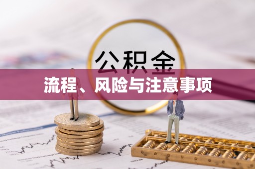 永新流程、风险与注意事项