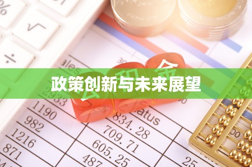 永新政策创新与未来展望