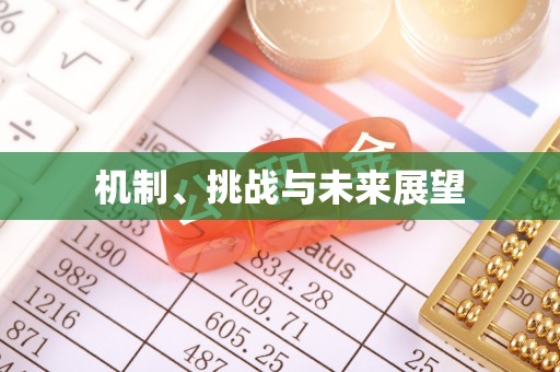 永新机制、挑战与未来展望